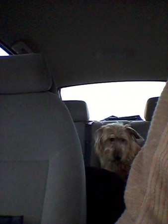 på vä hem, från arlanda